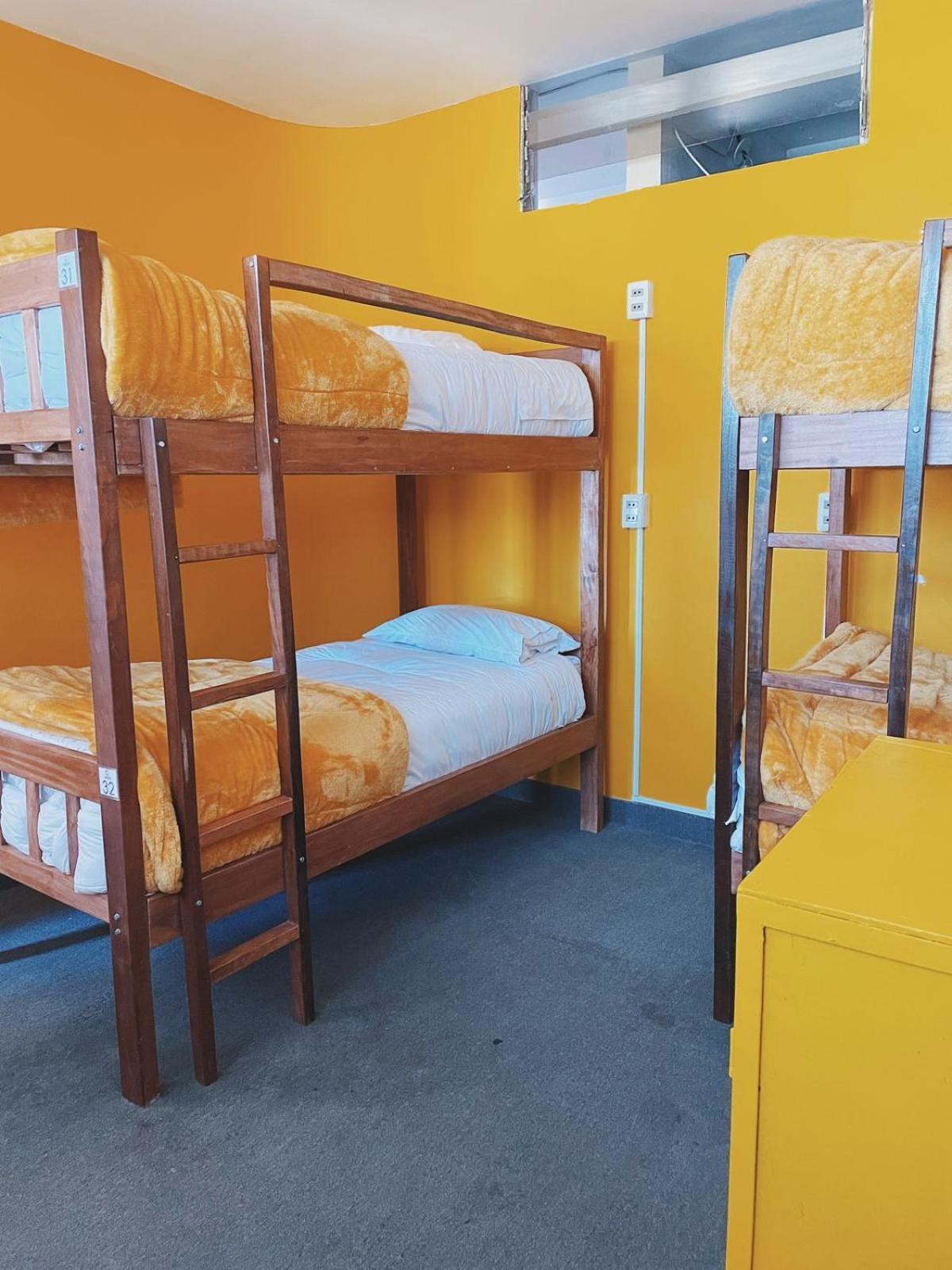 Lobo Hostel La Paz Ngoại thất bức ảnh